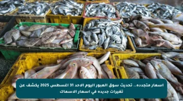 أسعار متجددة.. تحديث سوق العبور اليوم الأحد 31 أغسطس 2025 يكشف عن تغيرات جديدة في أسعار الأسماك